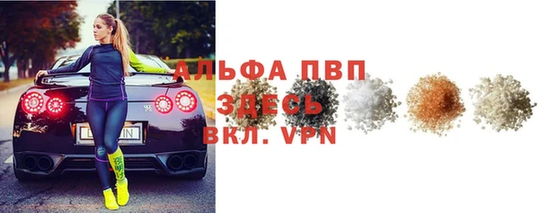 стаф Аркадак