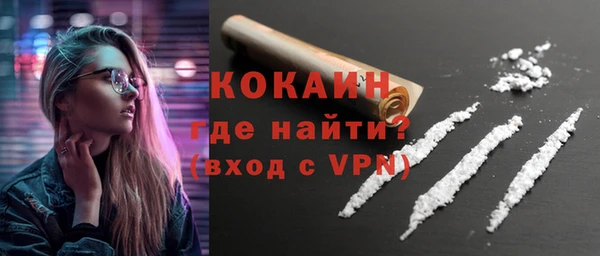стаф Аркадак