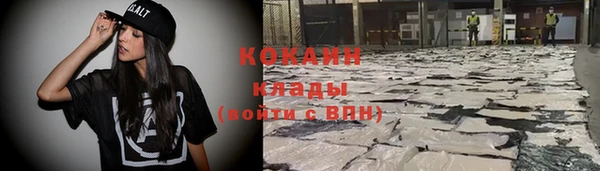 стаф Аркадак