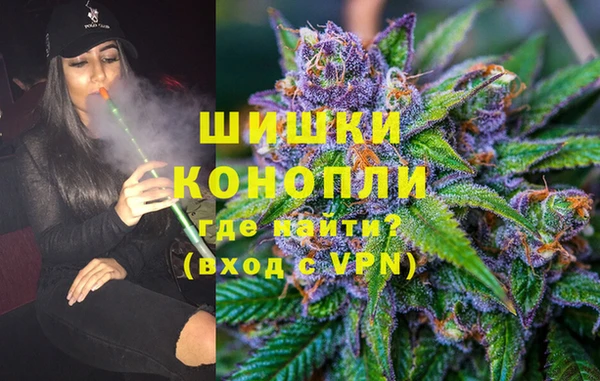 стаф Аркадак