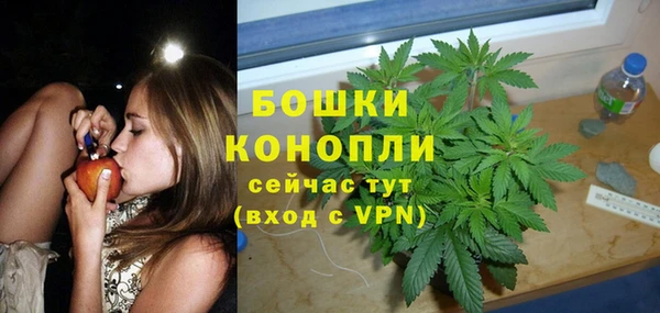 стаф Аркадак