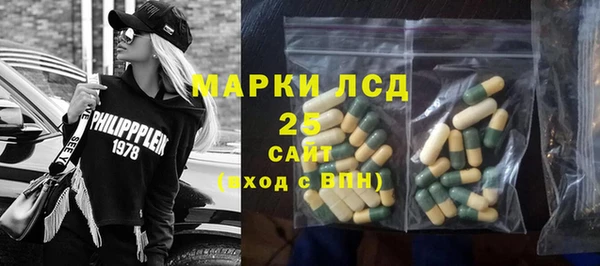 стаф Аркадак
