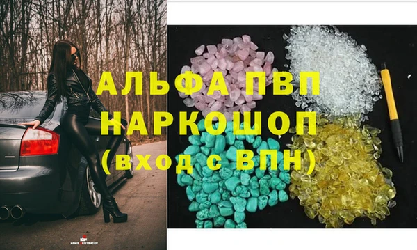 стаф Аркадак