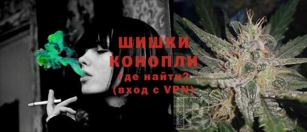 стаф Аркадак