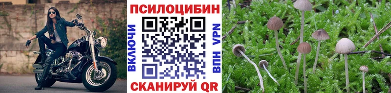 Галлюциногенные грибы Magic Shrooms  Купить  Данилов 